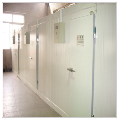 保定冷庫(kù)-保定冷庫(kù)安裝 保定冷庫(kù)-保定冷庫(kù)安裝